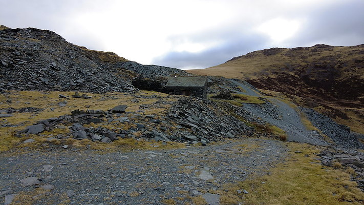 Honistertops16 Honistertops16