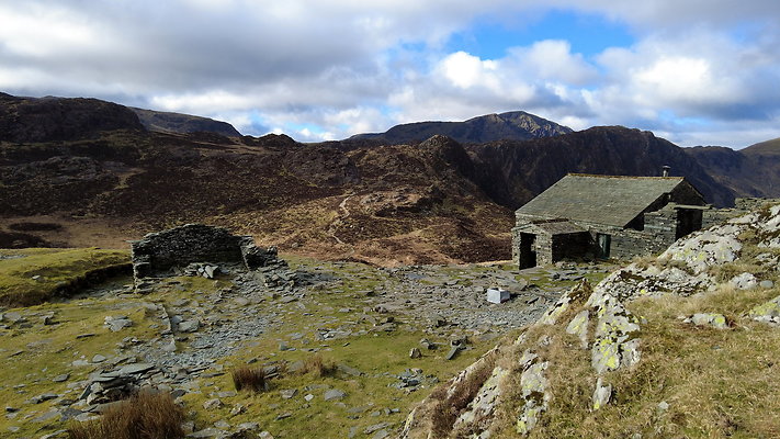 Honistertops8 Honistertops8