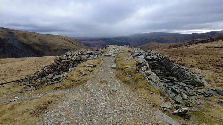 Honistertops23 Honistertops23