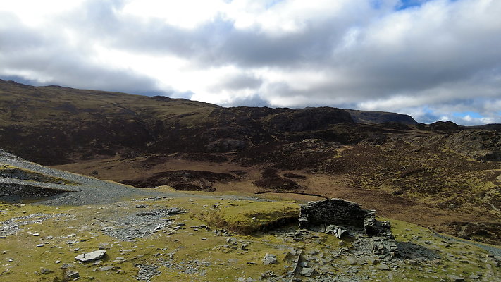 Honistertops10 Honistertops10