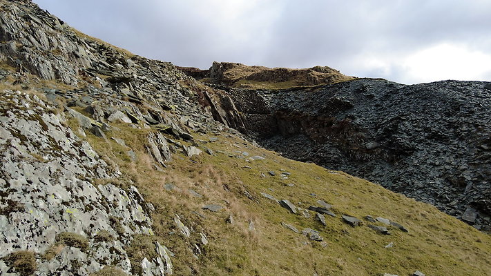 Honistertops11 Honistertops11