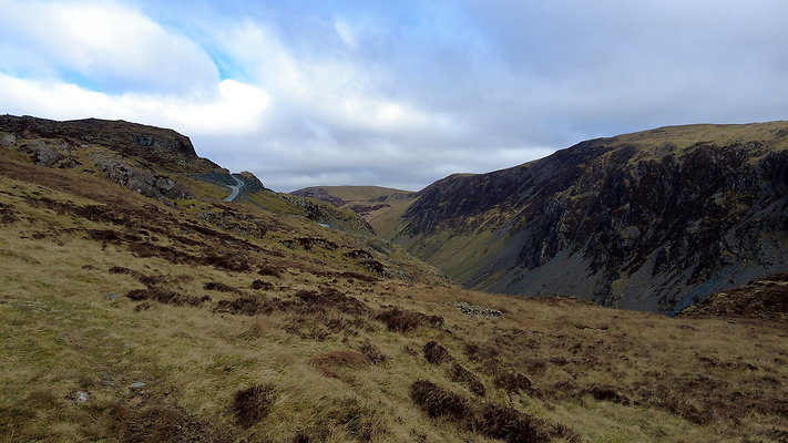 Honistertops2 Honistertops2