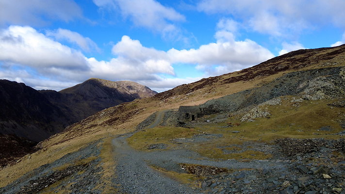 Honistertops6 Honistertops6