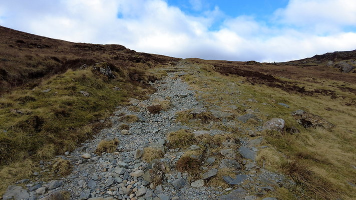 Honistertops3 Honistertops3