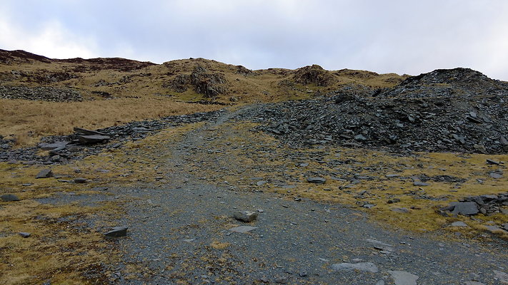 Honistertops17 Honistertops17