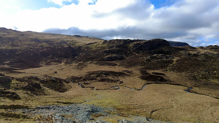 Honistertops5 Honistertops5