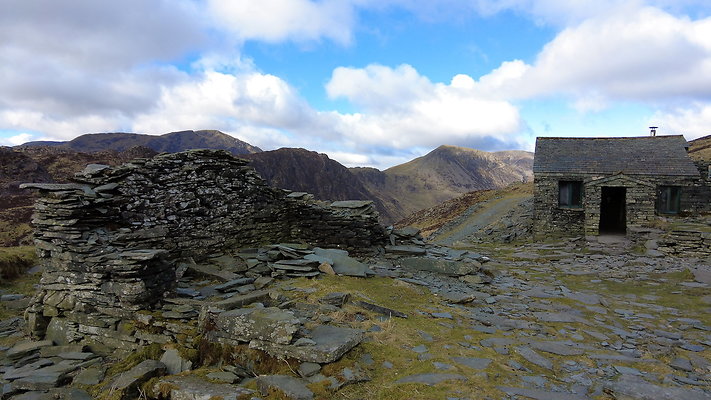 Honistertops7 Honistertops7