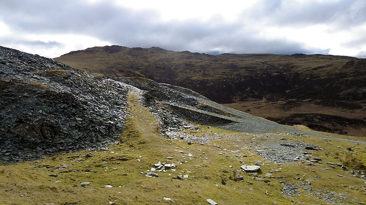 Honistertops12 Honistertops12