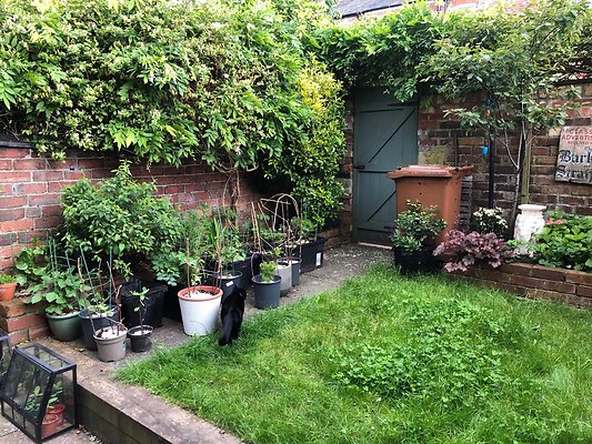 MoscowRdSK3025 MoscowRdSK3025