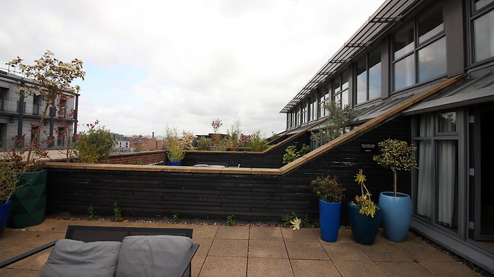 TheNative043 TheNative043