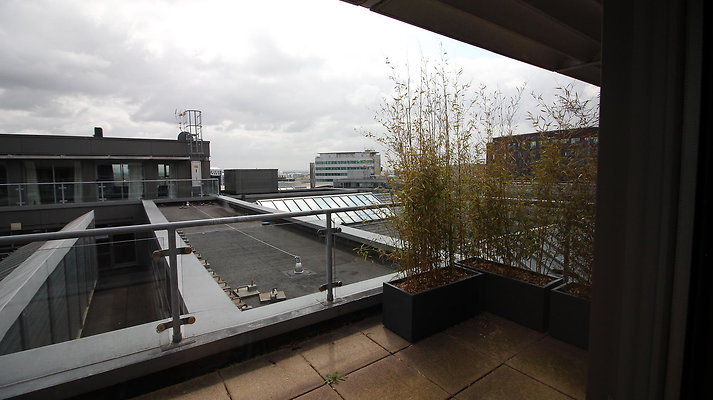 TheNative018 TheNative018