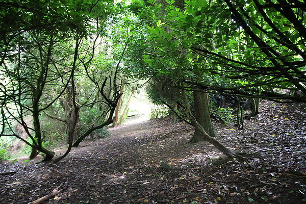 Hargate Hall008 Hargate Hall008