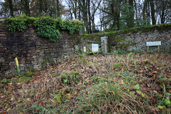 White Hall Centre036 White Hall Centre036