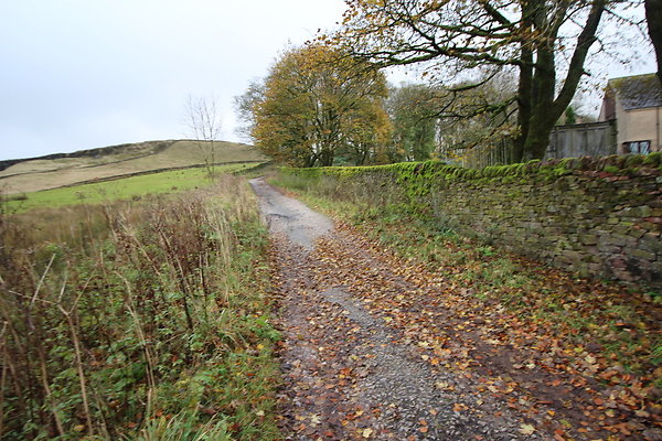 White Hall Centre038 White Hall Centre038