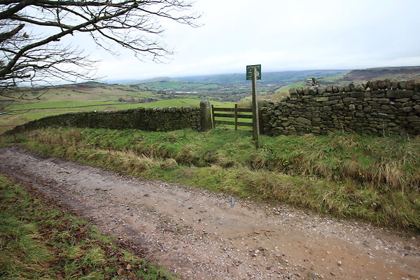 White Hall Centre042 White Hall Centre042