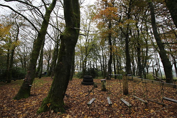 White Hall Centre022 White Hall Centre022