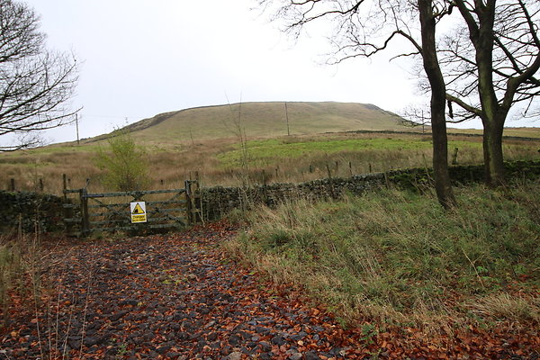 White Hall Centre008 White Hall Centre008