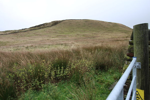 White Hall Centre040 White Hall Centre040