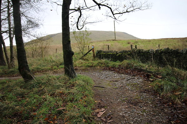 White Hall Centre004 White Hall Centre004