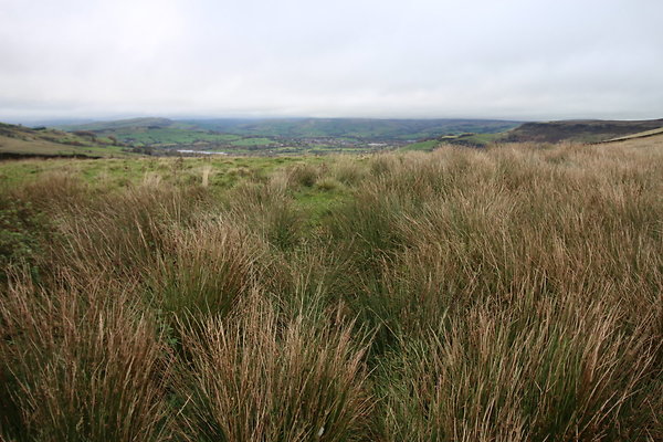 White Hall Centre041 White Hall Centre041