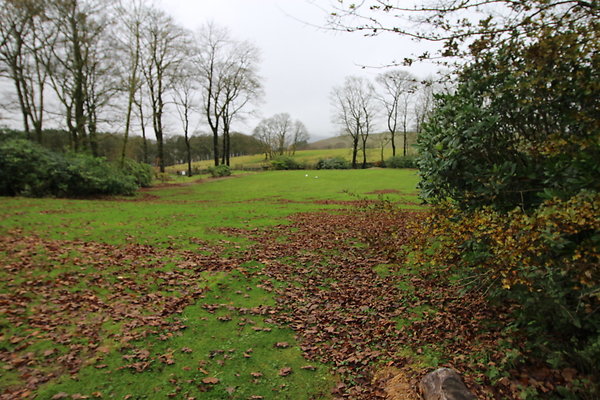 White Hall Centre021 White Hall Centre021