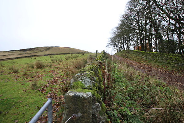 White Hall Centre049 White Hall Centre049