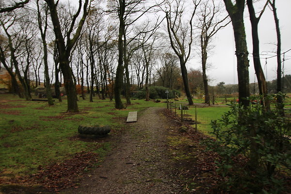 White Hall Centre014 White Hall Centre014