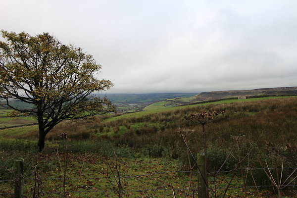 White Hall Centre039 White Hall Centre039