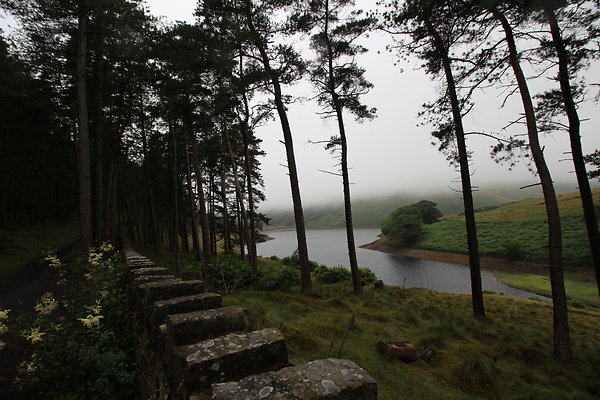 Upper House007 Upper House007