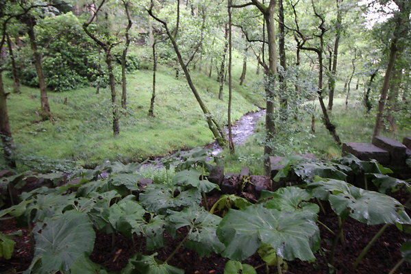 Upper House016 Upper House016