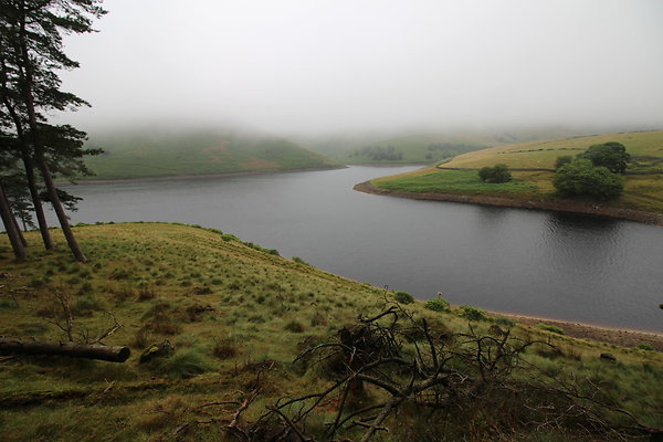 Upper House002 Upper House002