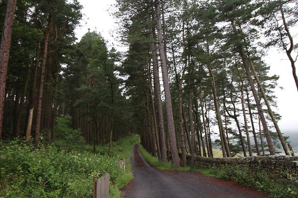 Upper House005 Upper House005