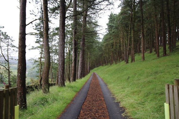 Upper House004 Upper House004