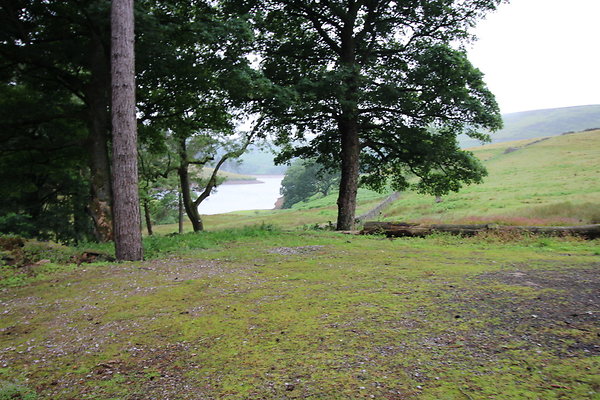 Upper House021 Upper House021