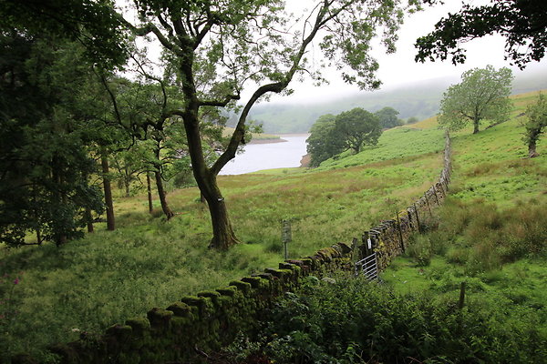 Upper House009 Upper House009