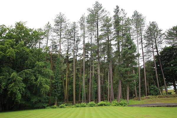 Upper House032 Upper House032