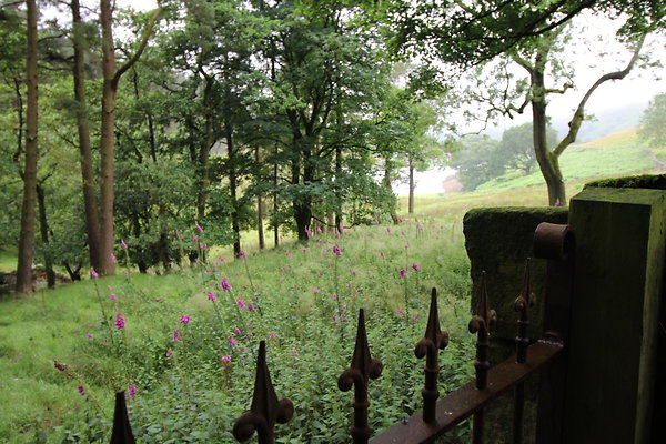 Upper House008 Upper House008