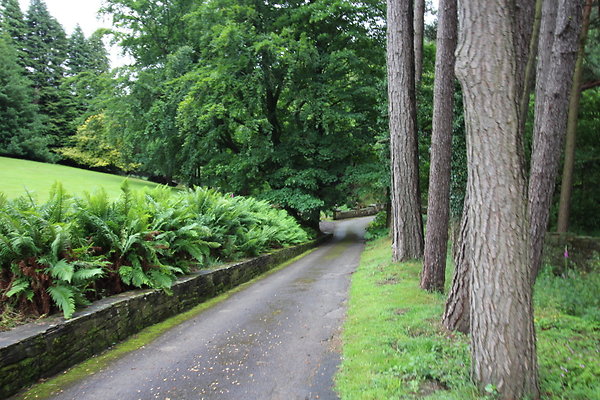 Upper House018 Upper House018