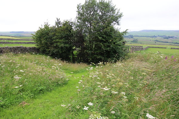 brettonhostel034 brettonhostel034