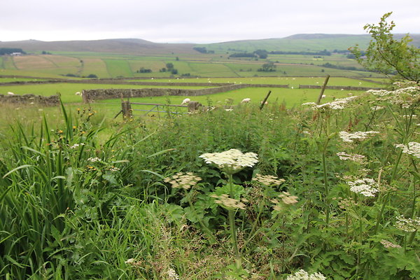 brettonhostel031 brettonhostel031