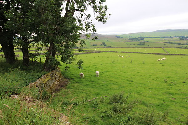 brettonhostel013 brettonhostel013