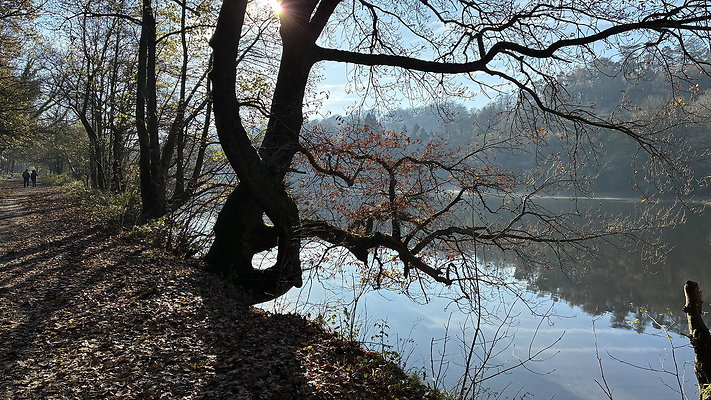 RudyardLakeHotel013 RudyardLakeHotel013