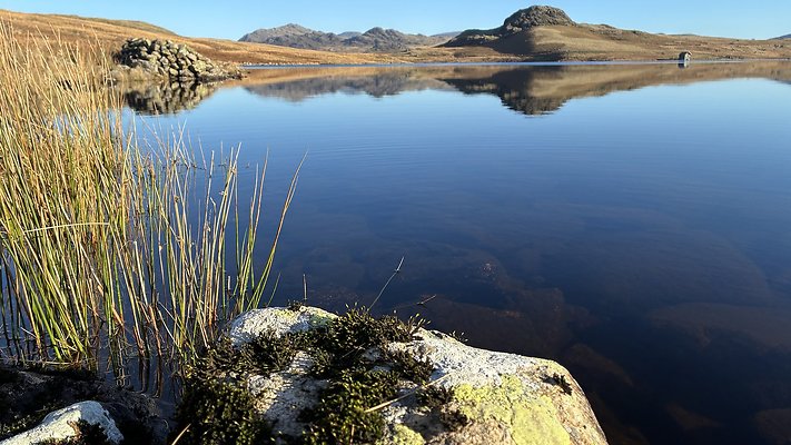 DevokeWater110 DevokeWater110