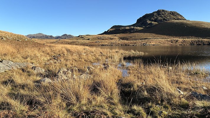 DevokeWater123 DevokeWater123