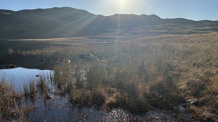 DevokeWater100 DevokeWater100